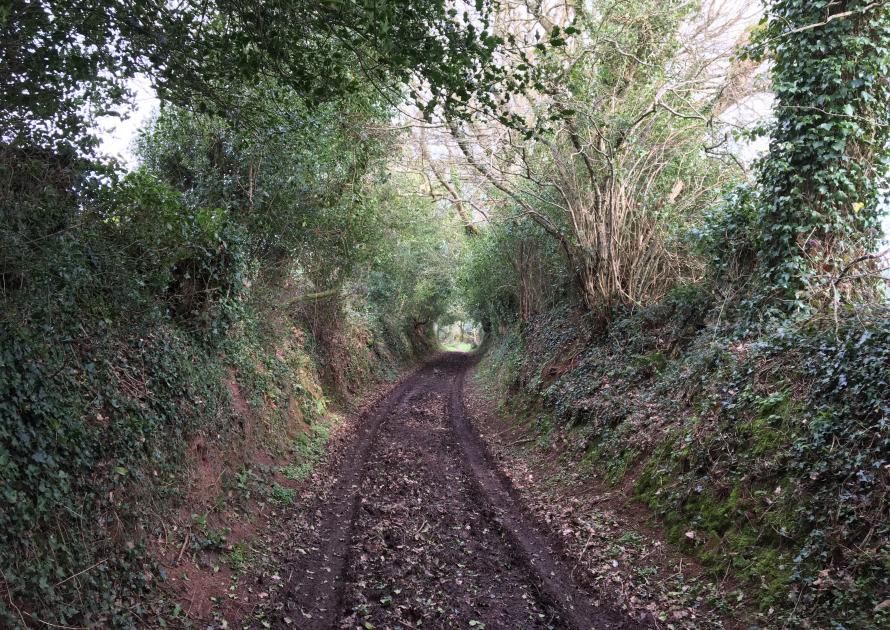 Green Lane from Weirford up to the Village Hall