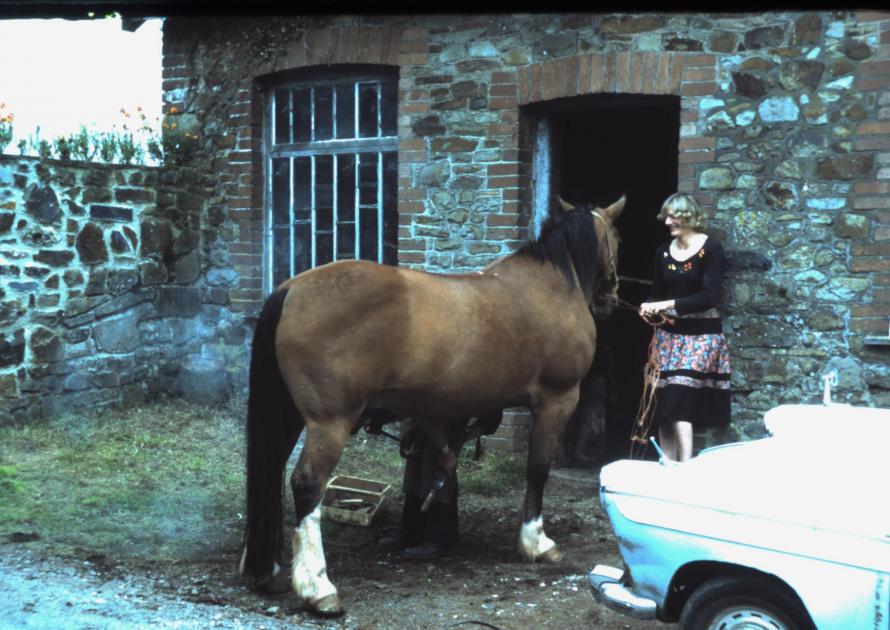 Maureen Horn getting her horse shod at the old forge (Forge House)