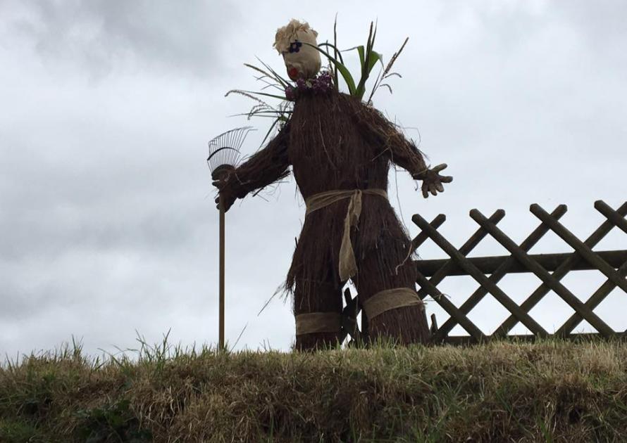 Eco Warrior Scarecrow