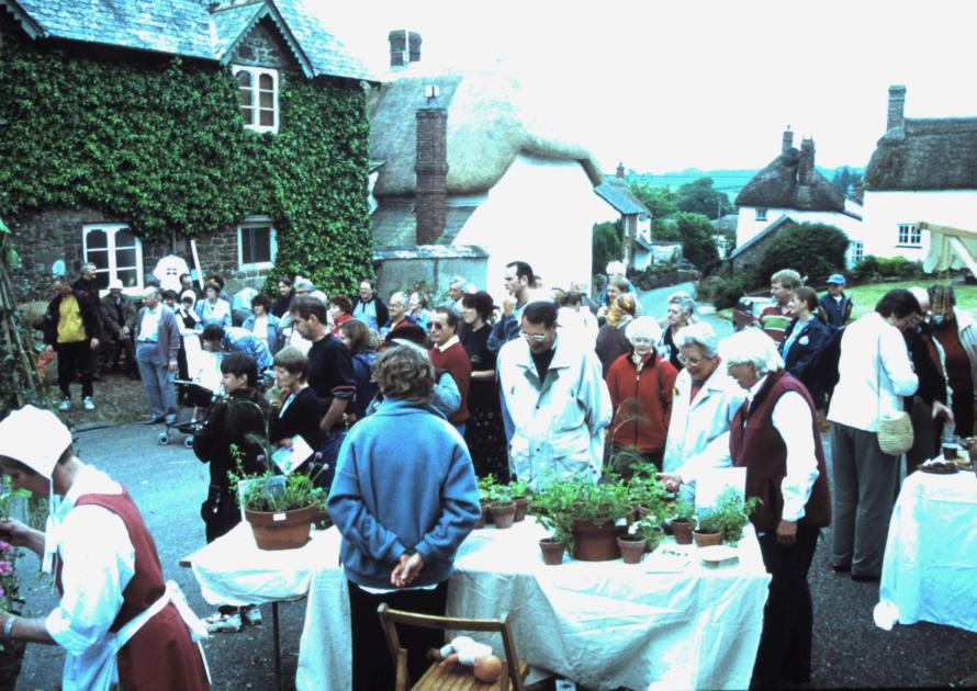 Plant Stall