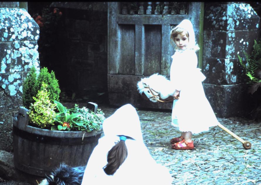 Hobby horses