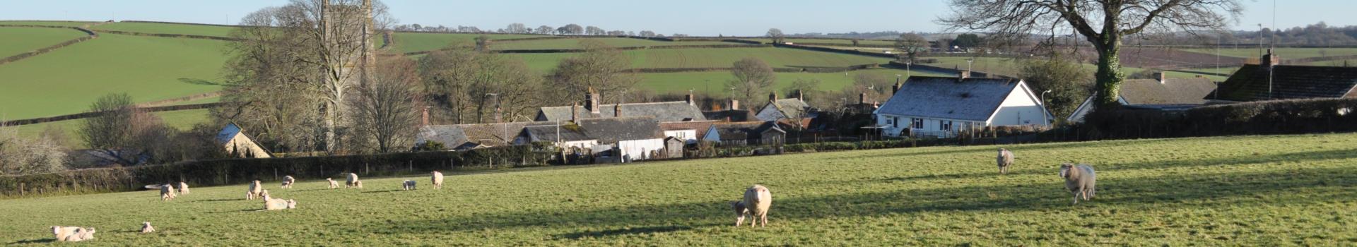 Village landscape