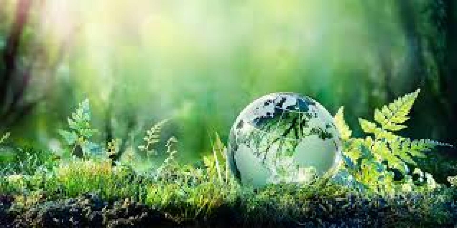 Ferns growing next to a crystal globe to represent the Earth.