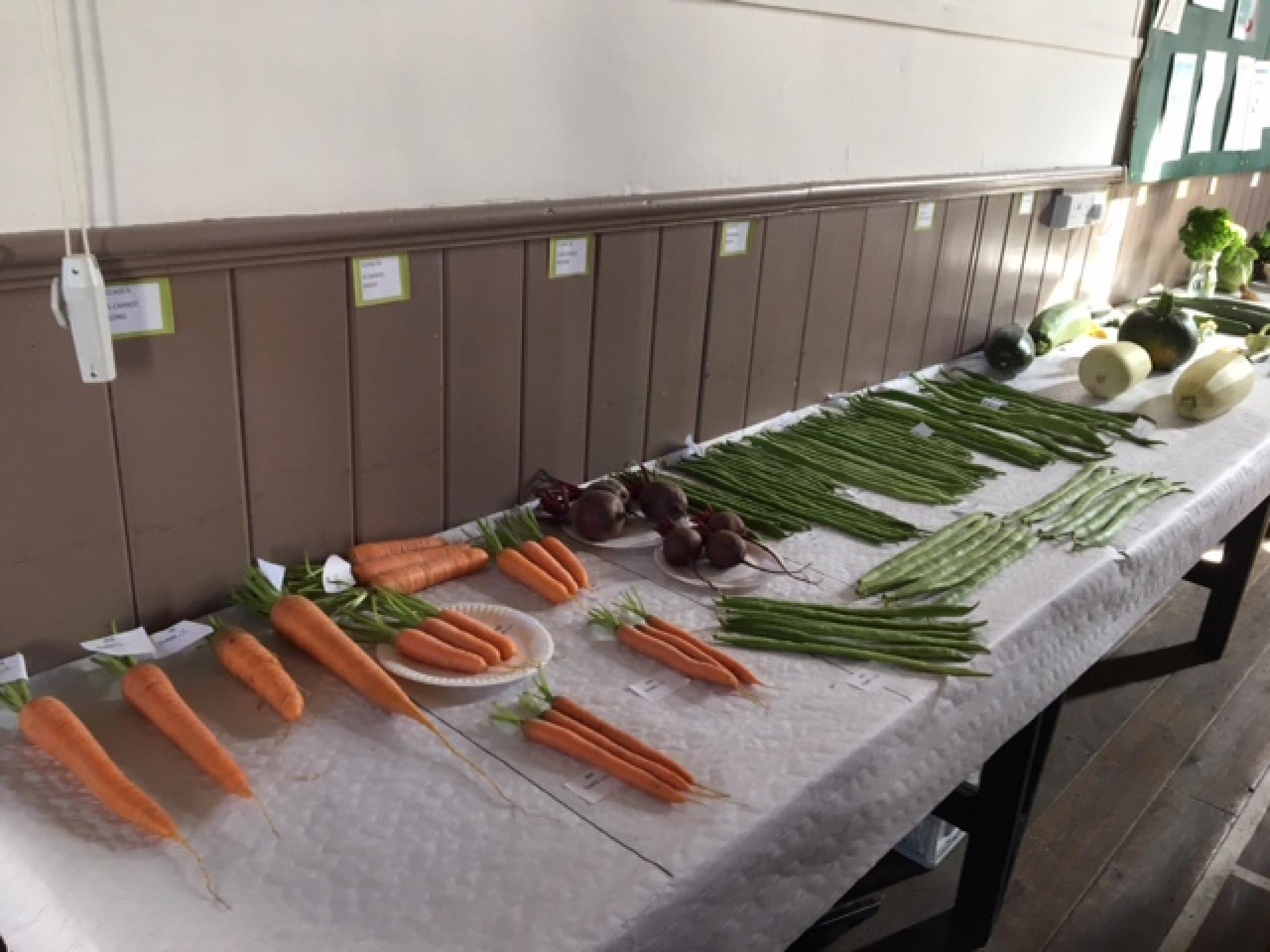 Carrots and beans