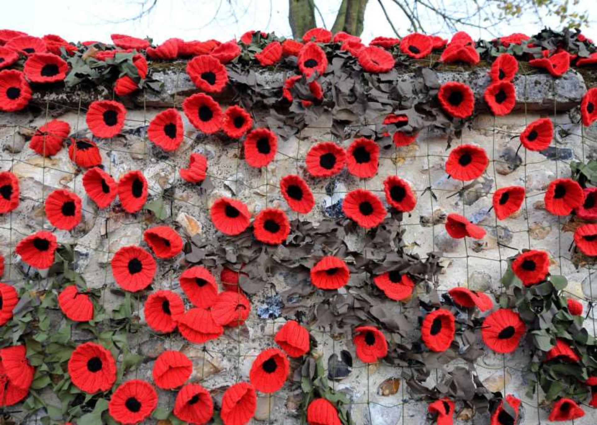 Poppy Net