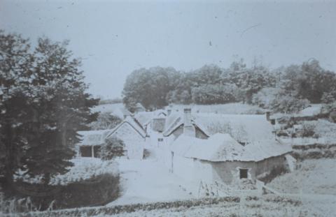 Horse trough