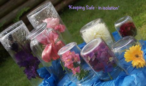 Flowers keeping a safe distance under their own jam jars.