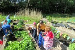 people in a community garden