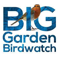 Picture of a Robin advertising 'Big Garden birdwatch'
