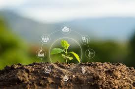 Image of seedlings growing