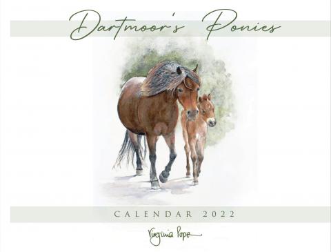 Hand drawn image of a Dartmoor pony and foal on the front cover of Virginia Popes fine art calendar for 2022