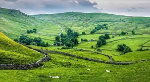 Picture of rolling hills and fields