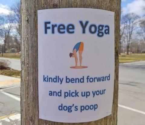 Cartoon picture of picking up dog poo