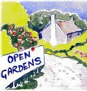 drawing of cottage garden