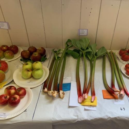 2025 Fruit class