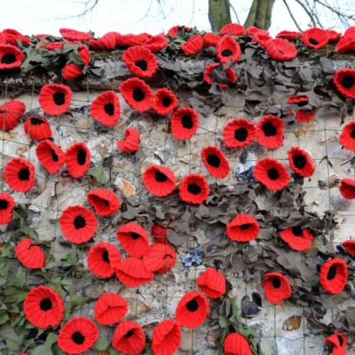 Poppy Net