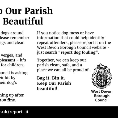 Dog fouling Poster from DCC